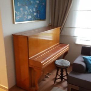 Piyano Taşıma İstanbul - Değerli Eşya & Piyano Taşıma Fiyatları 